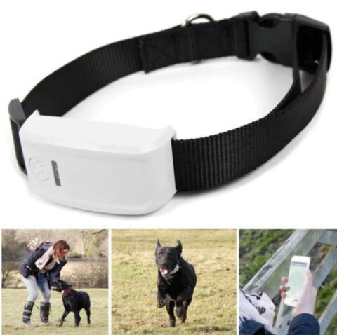 Tracker MFT® | Collier GPS pour Chien / Chat